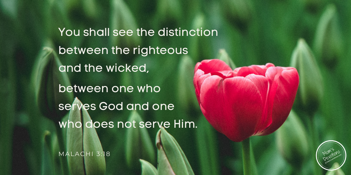 God Will Make a Distinction - Erika Owens